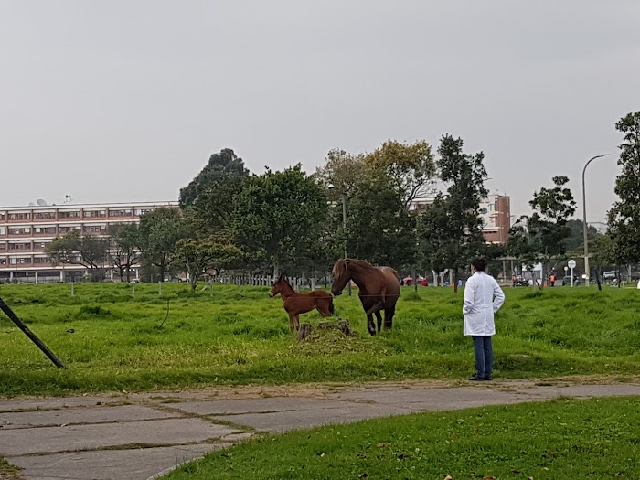 Campus 2