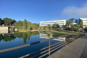 Universidad Europea de Madrid | Universitarios